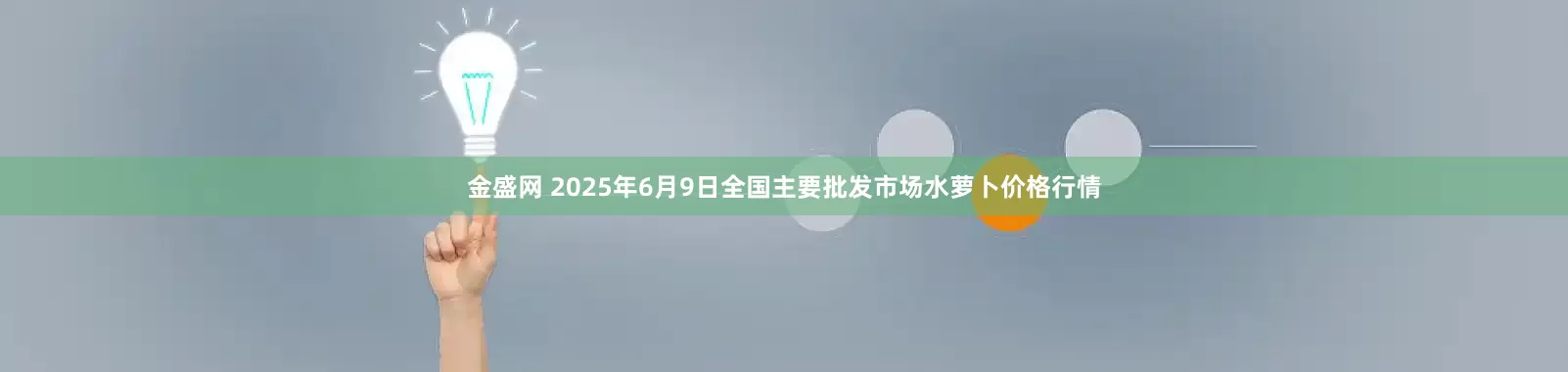 金盛网 2025年6月9日全国主要批发市场水萝卜价格行情